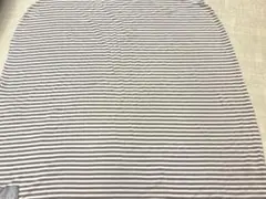 Item thumbnail for item 6bdf0b33-cbc8-43be-87ef-2818dc192b1f