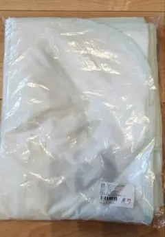 Item thumbnail for item f2959492-b05b-4402-b7d3-6facdc55336f