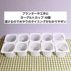 プランターや工作に ヨーグルトカップ 10個