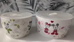 Item thumbnail for item 048e20e8-4473-497f-bdea-a4c556f464f0