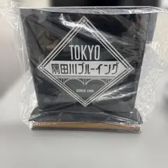 東京 隅田川ブルーイング スタンド
