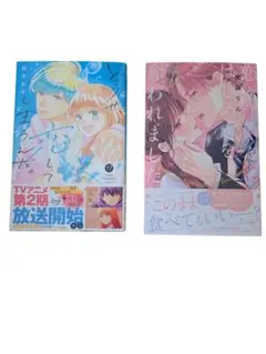 どうせ、恋してしまうんだ。　１２