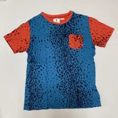 Item thumbnail for item 596e7890-f1f3-4540-991f-023a5f22e9b6