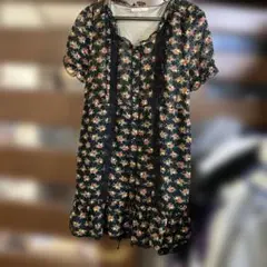 Item thumbnail for item e6c98718-3c42-4fb1-a3eb-cc4b43e45b73