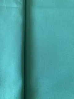 Item thumbnail for item 8dba9708-f954-49dd-bde4-195e1f1bd218