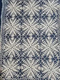 アイボリー花柄レース生地 約33cm x 46cm