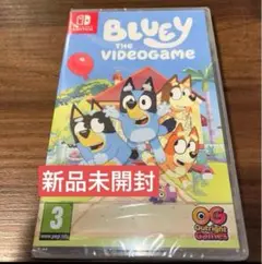 Bluey ブルーイswitch