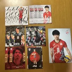 関田誠大　 トレカ　男子バレーボール日本代表2024 トレーディングカード