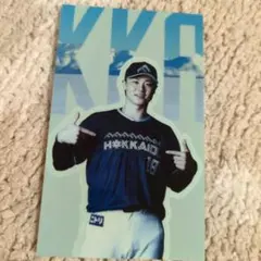 WE LOVE HOKKAIDO 限定ステッカー 山﨑福也