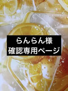 らんらん様^_^確認専用ページです♪(๑ᴖ◡ᴖ๑)♪