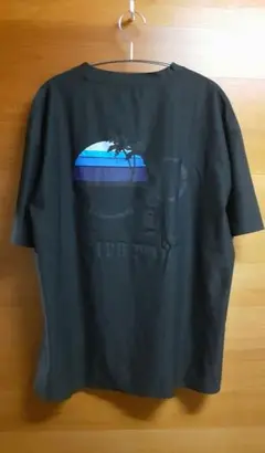 OCEAN PACIFIC ドライメッシュTシャツ　バックプリント　3L