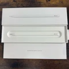 Apple Pencil (USB-C) 正規品