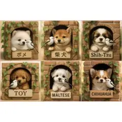 Item thumbnail for item aab02cec-1c54-46e9-94d9-a4d1fcfac141