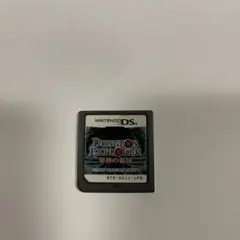 ダンジョンエクスプローラー邪神の領域　DS