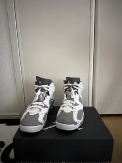 AIR JORDAN6 RETRO