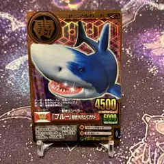 アニマルカイザー コバルト ホホジロザメ 6枚セット 71aeV9Qbs-L._UF350,350_QL50_.jpg