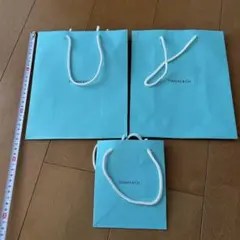 Item thumbnail for item d302682b-7934-41b2-a33c-651ca0a823db