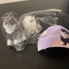 おすわりーぬ