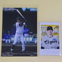 中野拓夢 阪神タイガース ラッフルくじ ブロマイド