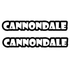 <01> カッティングシート CANNONDALE キャノンデール 2枚セット