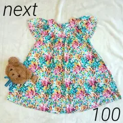 美品　next ドット柄 半袖ワンピース 華やか　涼しい　はらぺこあおむし
