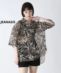 JEANASIS★アソートアニマルシアーシャツ変形ゼブラ柄