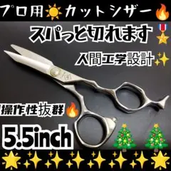 Item thumbnail for item 5ceb0055-8c77-4bbf-b573-d6a87d8d47a7