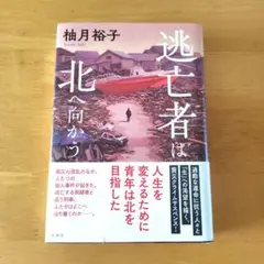 逃亡者は北へ向かう