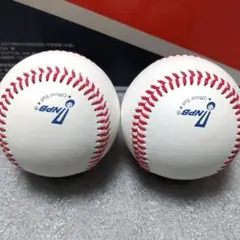 NPB公式試合球 (新品未使用) 2球セット ミズノブランド