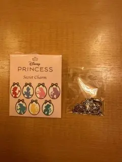 ディズニープリンセス シークレットチャーム　シンデレラ