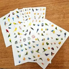 鳥のシール　オカメインコ　インコ　6シートセット