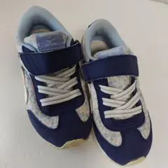 Item thumbnail for item 4b8f17bd-6eda-4cd9-a79e-7b158d5ebfb8