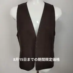 レリアン　ダークブラウン スエード風 ノースリーブベスト　前開き　サイズ9