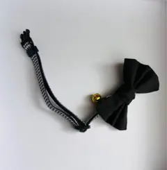 Item thumbnail for item b4c7623d-acbd-44fd-9178-66847513aad8