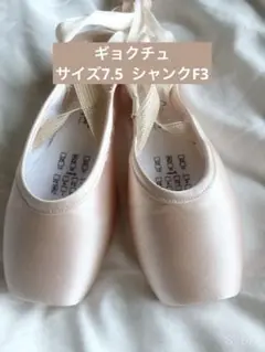 ギョクチュアイクトトゥーシューズ8.5 3BoxF2M ゲイナーに似た履き心地 瞬足】「ハヤブサ」VS「チーター」キミならどっちを選ぶ！？