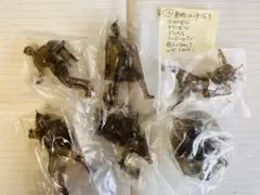 東映ヒーローネット限定 HG仮面ライダー12期 ブラッククリア 全6種セット