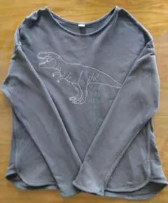 Item thumbnail for item 4a43b250-b0f1-46a5-9919-b9cf9a9470c1