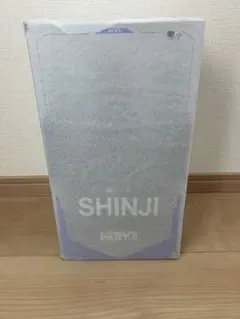 エヴァンゲリオン 碇シンジ Ver.RADIO EVA フィギュア