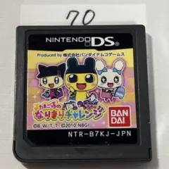 たまごっちのなりきりチャレンジ　端子清掃済み　DSソフト