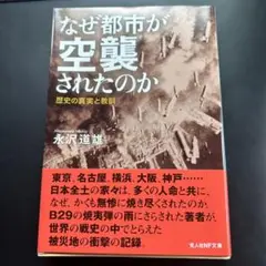 新品　なぜ都市が空襲されたのか 歴史の真実と教訓