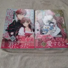 ひとりぼっちの花娘は檻の中の竜騎士に恋願う THE COMIC