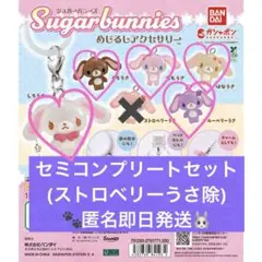 シュガーバニーズ めじるしアクセサリー ガチャガチャ セミコンプリートセット