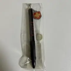 貴重　とある科学の超電磁砲　ボールペン