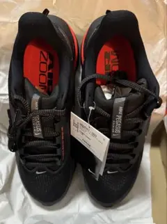 最安値　【未使用】Nike Pegasus Premium 26cm