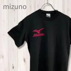 K0127 MIZUNO ミズノ オールジャパン Tシャツ 2012 バレー