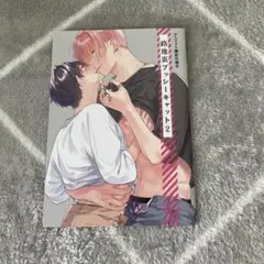 路地裏プッシーキャット2 鳥葉ゆうじ　アニメイト小冊子　BL マンガ　特典
