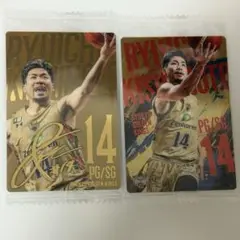 Item thumbnail for item 0782fb6e-be2e-4b5d-a6a4-54cdc2b82e09