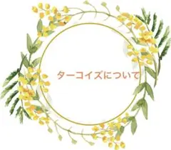 ターコイズのサンプルです。
