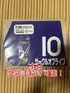 Item thumbnail for item 4b87a755-c790-4b1b-85d8-94be2243efcb