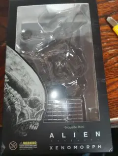 m64772309479_1.jpg?1739154994